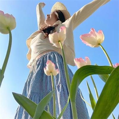 掠木行动